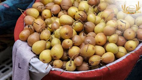 Nanguo Pear Garden: En söt oas med historiska rötter!